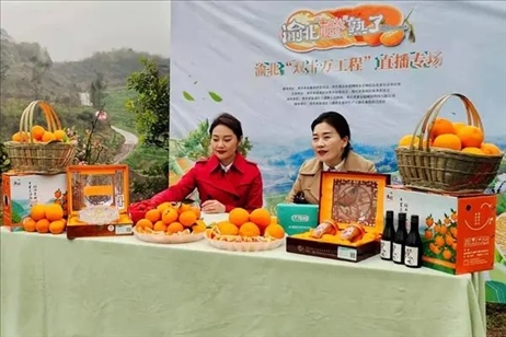 2021年2月26日，在重慶渝北區(qū)大盛鎮(zhèn)青龍村舉辦的直播活動(dòng)現(xiàn)場。