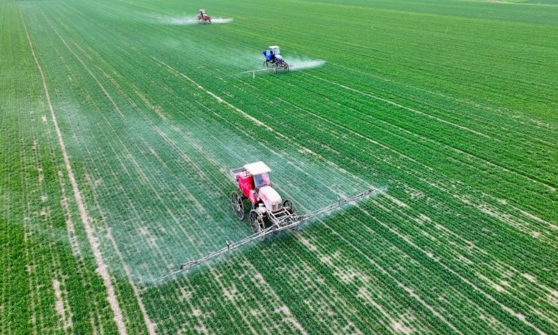 2024年2月18日，安徽省亳州市，利辛縣紀(jì)王場(chǎng)鄉(xiāng)孫老家村麥田，農(nóng)民駕駛自走式高桿噴霧機(jī)對(duì)小麥進(jìn)行噴藥作業(yè)。