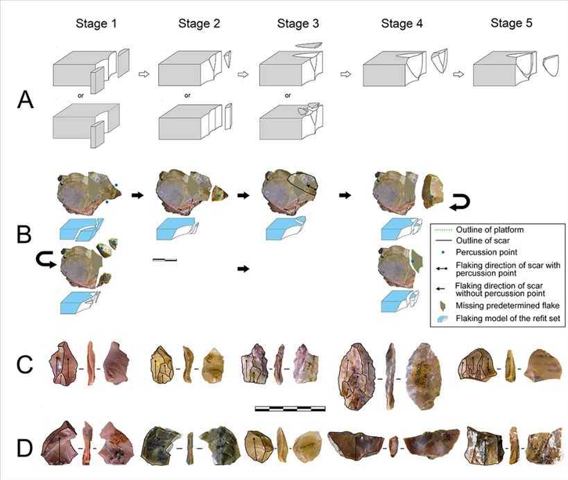 岑家灣遺址“準(zhǔn)備石核技術(shù)”及相關(guān)石制品。（受訪單位供圖）