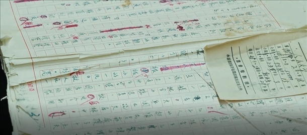 曲波《林海雪原》手稿。主辦方供圖