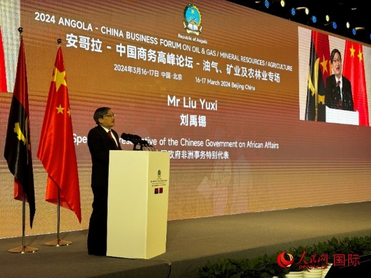 中國(guó)政府非洲事務(wù)特別代表劉禹錫。人民網(wǎng)記者 張榮攝