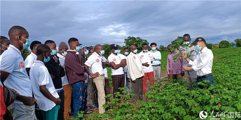 項(xiàng)目組長(zhǎng)首小勇向當(dāng)?shù)孛揶r(nóng)做技術(shù)講解。人民網(wǎng)記者 黃培昭攝