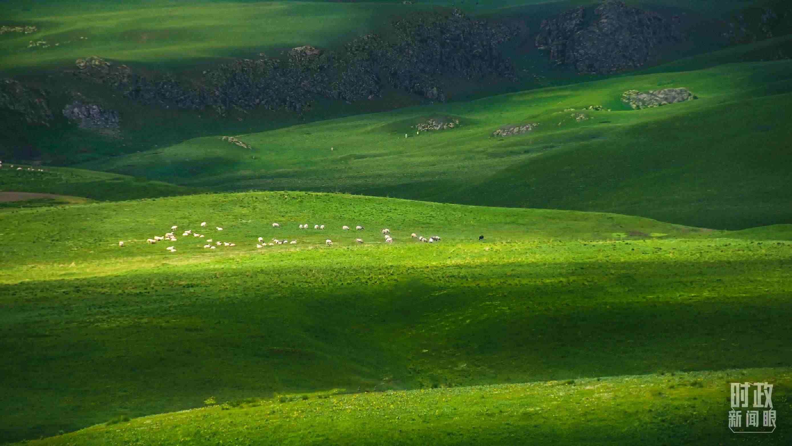 △祁連山草原光影。（圖/視覺中國）