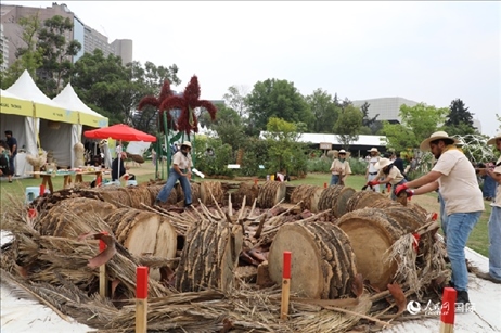 坎波·馬特活動現(xiàn)場。埃內(nèi)斯托·多明戈斯攝