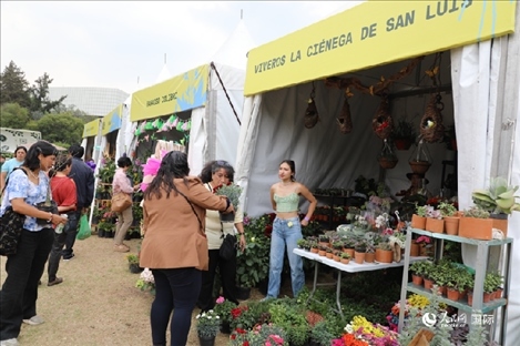 坎波·馬特活動現(xiàn)場。埃內(nèi)斯托·多明戈斯攝