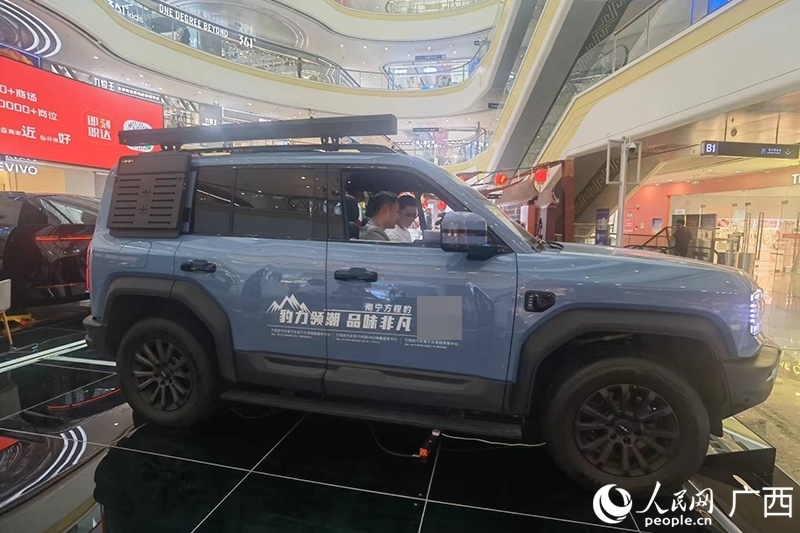 消費(fèi)者在商場選購汽車。人民網(wǎng)記者 陳燕攝