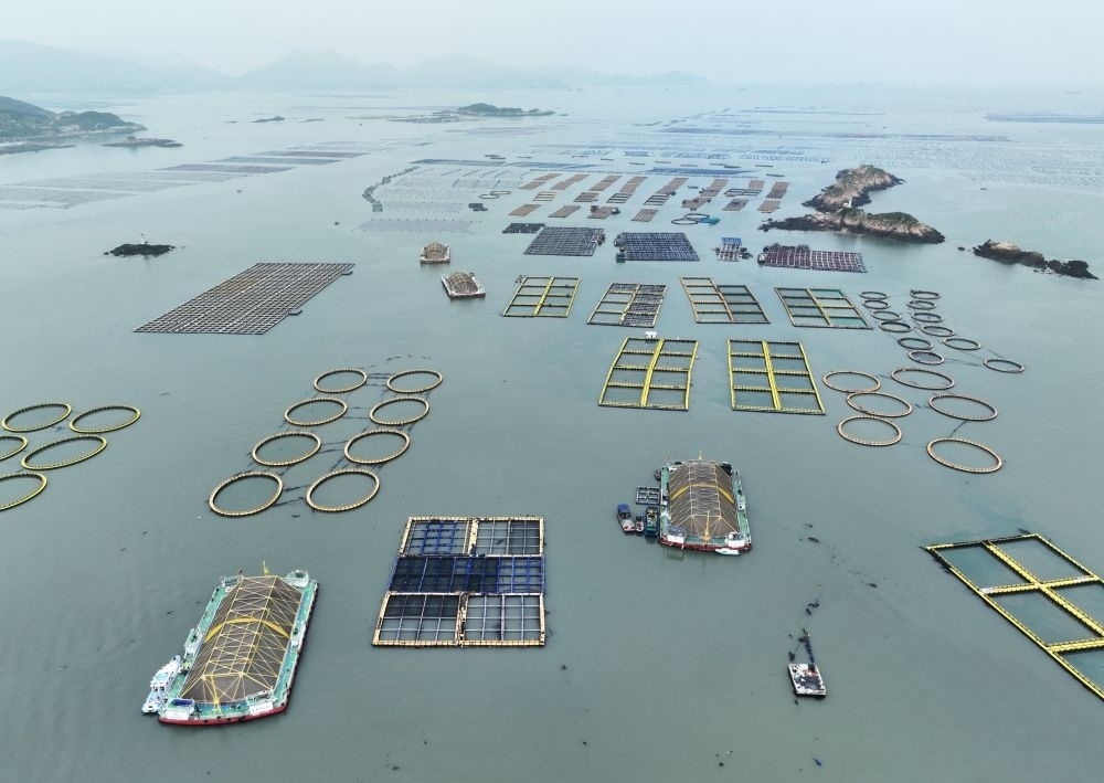 在福建連江定海灣海域，坐落著“定海灣1號(hào)”“定海灣2號(hào)”等深遠(yuǎn)海養(yǎng)殖平臺(tái)（2024年5月7日攝，無(wú)人機(jī)照片）。新華社記者 林善傳 攝