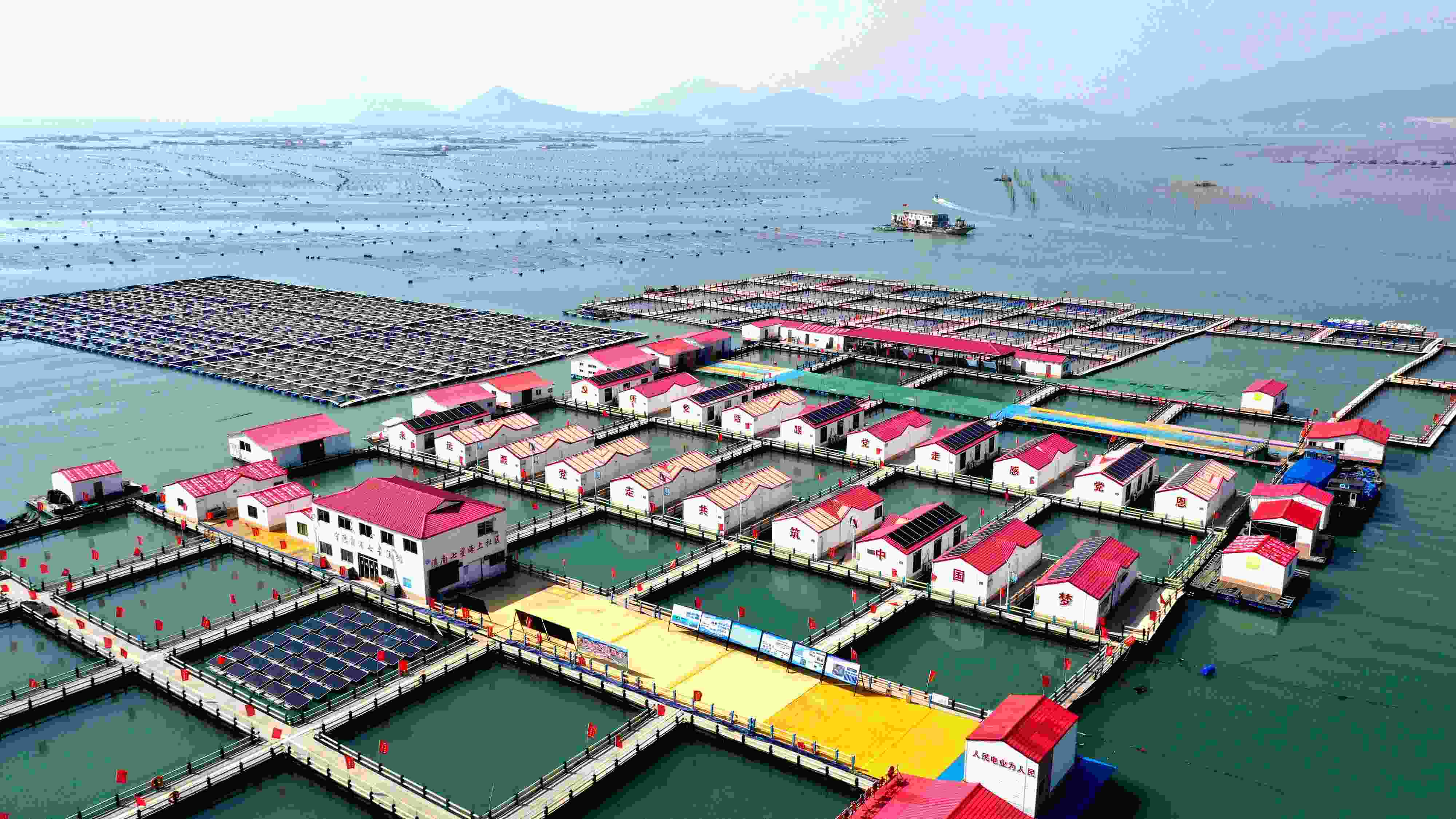 2024年3月20日，福建省寧德市，霞浦縣溪南鎮(zhèn)七星村漁排養(yǎng)殖示范區(qū)，漁民駕駛養(yǎng)殖船進(jìn)行海參養(yǎng)殖作業(yè)。