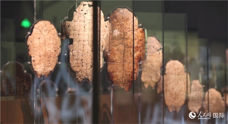 殷墟博物館新館的甲骨展品。人民網(wǎng)記者 劉寧攝