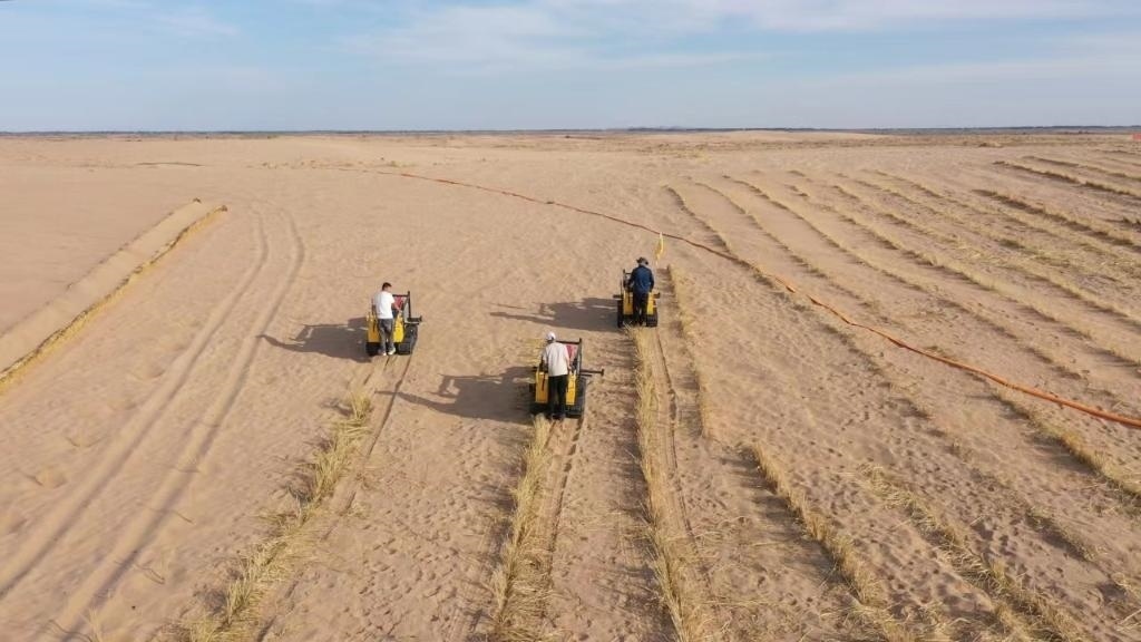 內(nèi)蒙古巴彥淖爾市烏拉特后旗西補(bǔ)隆林業(yè)管護(hù)中心職工駕駛機(jī)械鋪設(shè)壓沙障。新華社記者 李云平 攝