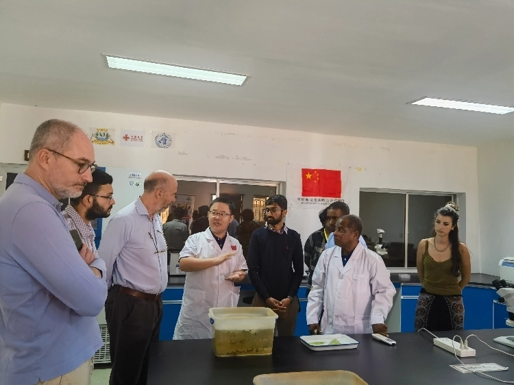 活動(dòng)現(xiàn)場(chǎng)。專家組供圖