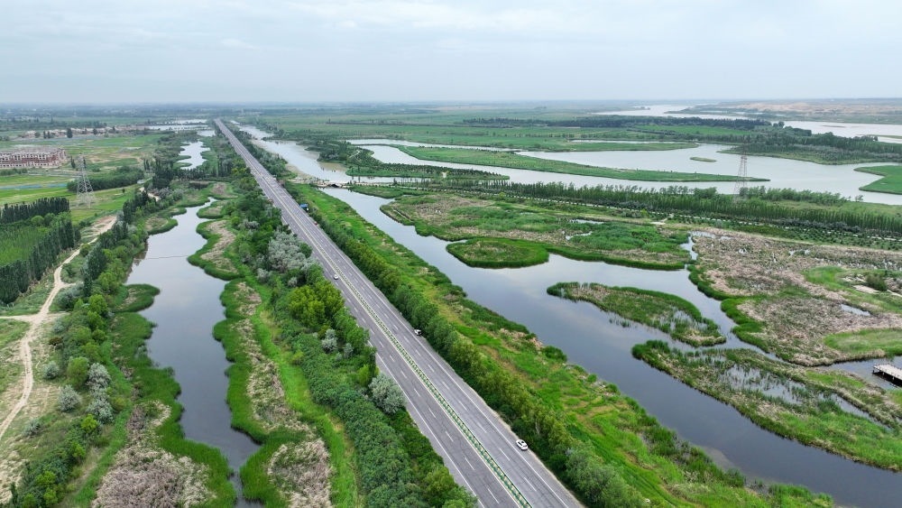 這是2024年6月13日拍攝的黃河寧夏段濱河大道（無(wú)人機(jī)照片）。近年來(lái)，寧夏努力建設(shè)黃河流域生態(tài)保護(hù)和高質(zhì)量發(fā)展先行區(qū)，全力打好黃河保護(hù)持久戰(zhàn)。新華社記者 王鵬 攝