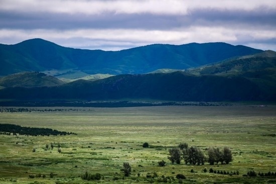 2023年8月4日拍攝的大興安嶺南麓內(nèi)蒙古罕山國(guó)家級(jí)自然保護(hù)區(qū)風(fēng)光。新華社記者 連振 攝