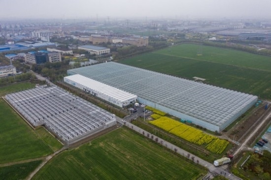 2024年3月28日，空中俯瞰嘉興南湖區(qū)湘家蕩農(nóng)業(yè)數(shù)字化工廠（無(wú)人機(jī)照片）。該農(nóng)業(yè)數(shù)字化工廠占地總面積約62畝，包含智慧農(nóng)業(yè)生產(chǎn)、物聯(lián)網(wǎng)智能管理、自動(dòng)分揀包裝、保鮮儲(chǔ)藏物流、高科技示范展示等五大功能區(qū)，可直接或間接培養(yǎng)帶動(dòng)新型職業(yè)技術(shù)農(nóng)民500人以上。新華社記者 徐昱 攝