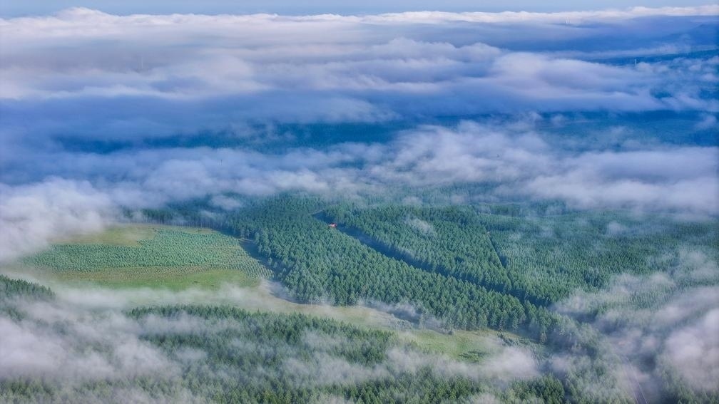 2024年7月26日拍攝的塞罕壩國(guó)家級(jí)自然保護(hù)區(qū)景色。新華社發(fā)（劉滿倉(cāng) 攝）