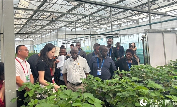 研討班成員在大棚中了解植物種植技術(shù)。人民網(wǎng) 曹欣悅攝