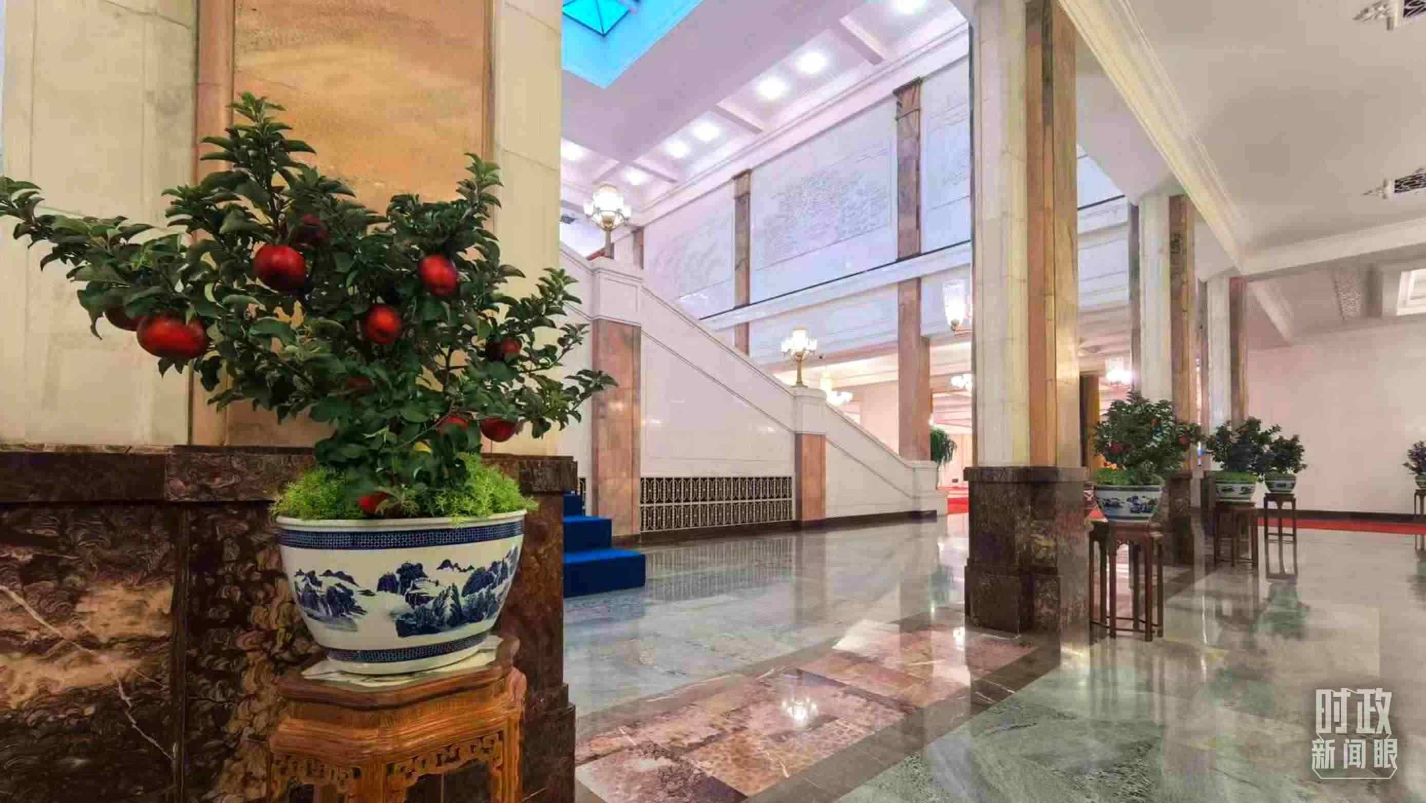  △大會堂內(nèi)的“碩果累累”盆栽。（總臺國廣記者吳倩拍攝）