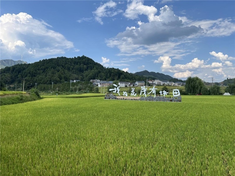 青瓦白磚的黔北民居、風(fēng)中搖曳的稻田、抬手可觸的大片云朵……才剛下車(chē)，格魯吉亞“經(jīng)濟(jì)中心網(wǎng)”總編輯莉安娜·喬爾喬利亞尼就被眼前的景色拖住了步履，喃喃細(xì)語(yǔ)：“實(shí)在太美了，讓我內(nèi)心平靜，在這里生活一定非常安逸和幸福?！保ㄇ褫x攝）