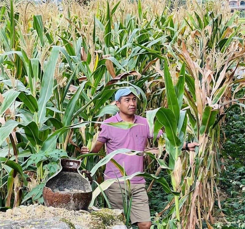 不是攀登石林高臺(tái)，就是鉆入玉米莊稼地，吉爾吉斯斯坦《自由之山報(bào)》總編輯納拉雷·阿桑巴耶夫“身手不凡”，與生長(zhǎng)旺盛的玉米構(gòu)成了花茂村的鄉(xiāng)間野趣。（張亞欣攝）