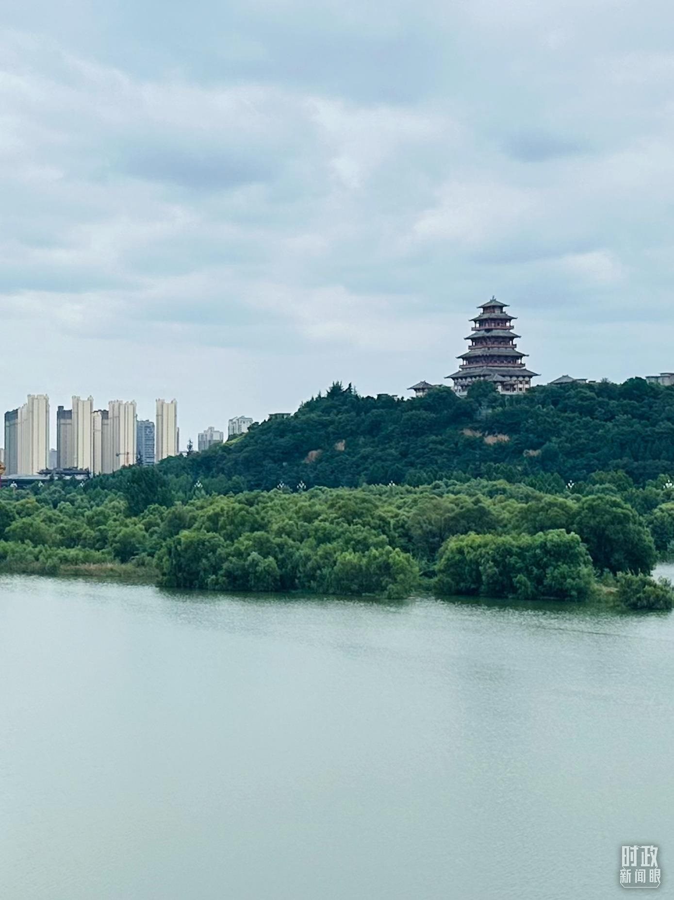 △渭河寶雞段長(zhǎng)224公里，目前建成17處渭河灘區(qū)生態(tài)涵養(yǎng)區(qū)。（總臺(tái)央視記者范一鳴拍攝）