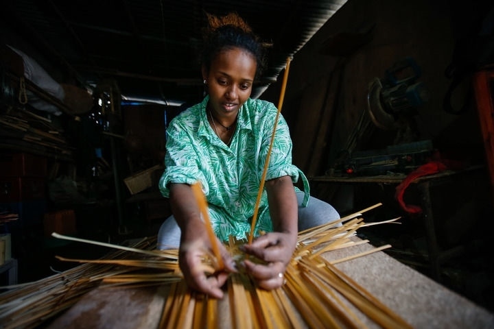 2024年8月10日，菲基爾特·加布雷在埃塞俄比亞首都亞的斯亞貝巴名為“綠色金子”的竹藤工作室里加工竹制產(chǎn)品。新華社發(fā)（邁克爾·特韋爾德 攝）