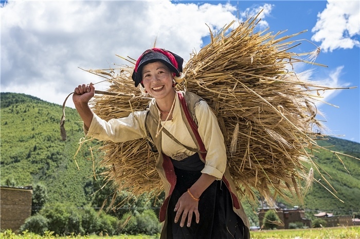 康定市甲根壩鎮(zhèn)青稞豐收，農(nóng)牧民臉上洋溢著豐收的喜悅。林革文攝