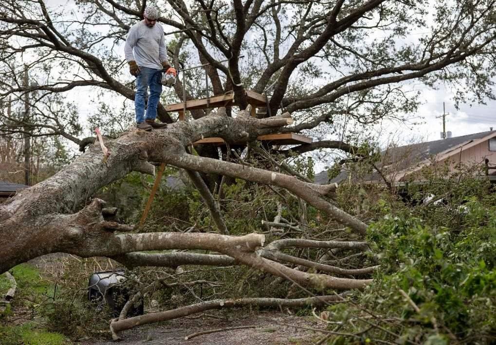 2021年8月30日，在美國(guó)路易斯安那州霍馬，一名男子站在被颶風(fēng)吹倒的大樹上。新華社發(fā)（尼克·瓦格納 攝）