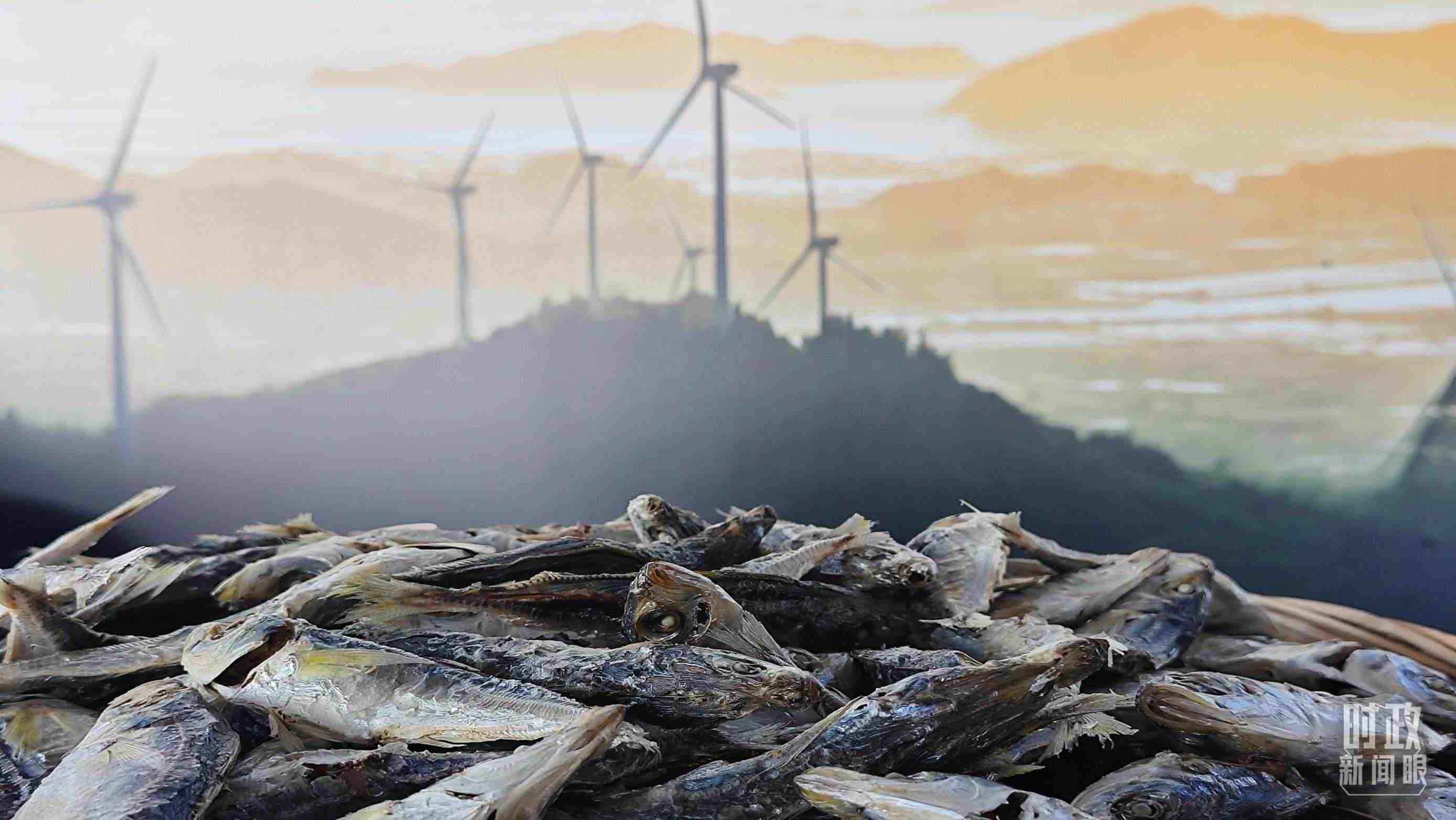 △澳角村的海產(chǎn)品。（總臺央視記者許永松拍攝）