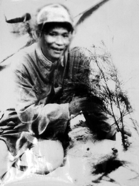 谷文昌與試種成活的木麻黃（資料照片）。為了治沙，谷文昌爬遍了東山縣400多個山頭，踏遍了30多公里的沙灘，終于帶領(lǐng)東山人民試種木麻黃成功。