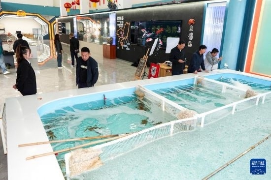 9月20日，游客在吉林省琿春市的帝王蟹保稅店內(nèi)選購(gòu)帝王蟹。新華社記者 許暢 攝