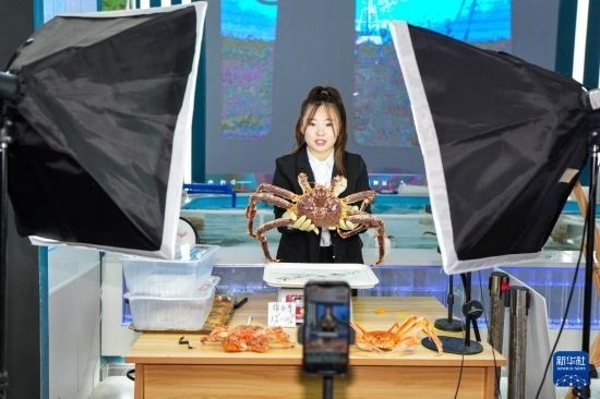 9月20日，在吉林省琿春市的帝王蟹保稅店內(nèi)，工作人員進(jìn)行網(wǎng)絡(luò)直播售賣帝王蟹。新華社記者 許暢 攝