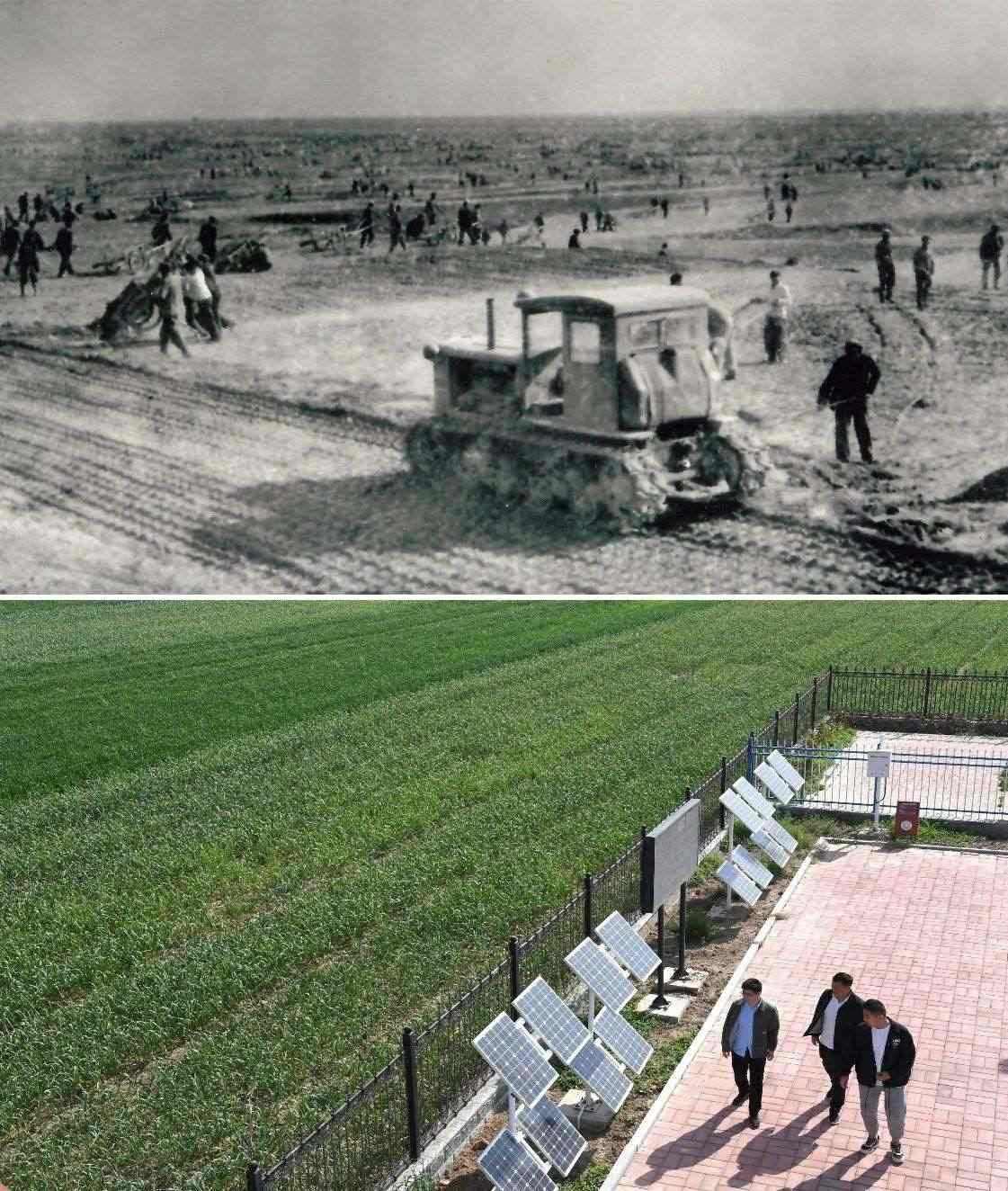上圖為二十世紀(jì)六十年代蘭考改造鹽堿地的情景（資料照片）；下圖為2024年4月18日拍攝的蘭考縣紅廟鎮(zhèn)高標(biāo)準(zhǔn)農(nóng)田示范區(qū)。（新華社記者 朱祥 攝）
