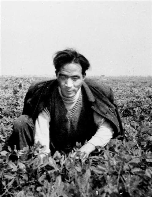 在蘭考期間，焦裕祿在田間勞動的情景。