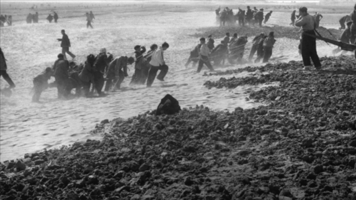 蘭考群眾在拉淤土壓沙。（新華社記者 鄧歷耕 攝）