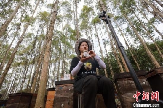 吳素英在網(wǎng)絡(luò)平臺直播介紹蜜蜂和養(yǎng)蜂情況。湯曉逵 攝