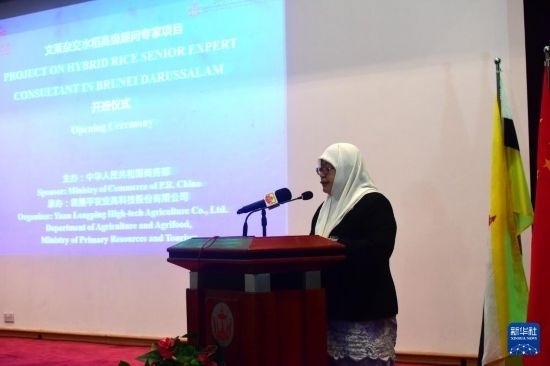 10月26日，文萊初級(jí)資源與旅游部常任秘書(shū)圖蒂亞蒂在斯里巴加灣市出席中國(guó)與文萊雜交水稻高級(jí)專家顧問(wèn)項(xiàng)目啟動(dòng)儀式。新華社記者 李萌 攝