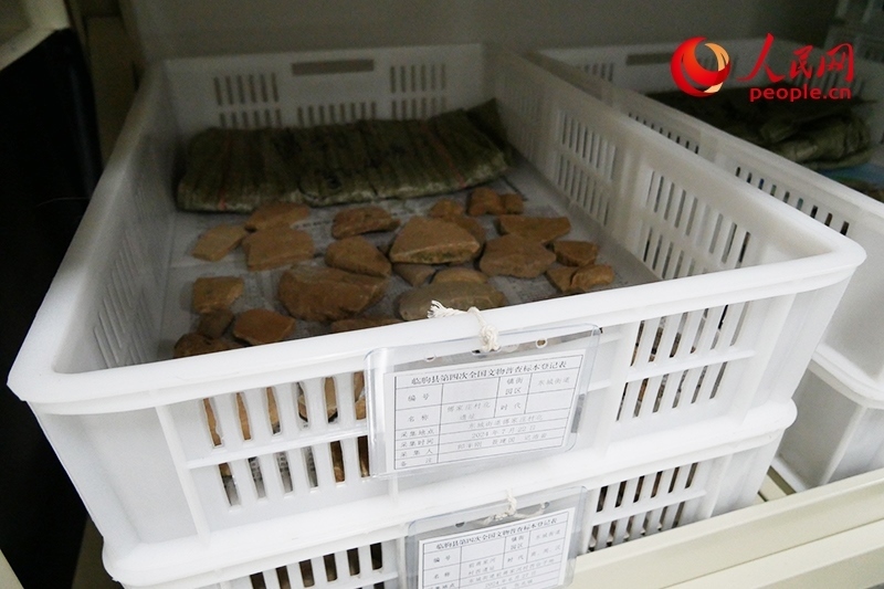 已經(jīng)整理完畢的文物標(biāo)本。人民網(wǎng)記者 韋衍行攝