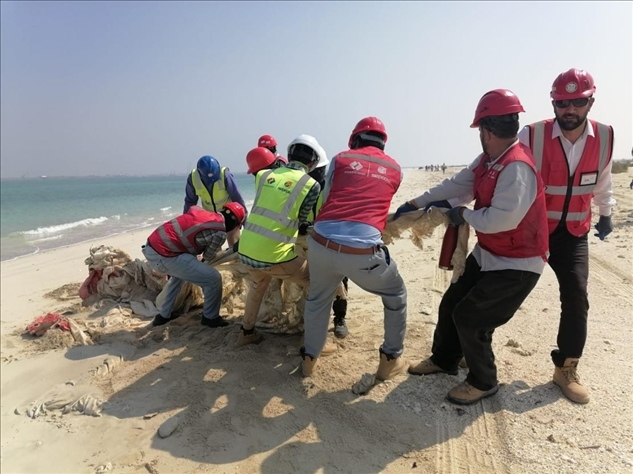 中國電建員工在撿拾海灘垃圾。中國電建供圖