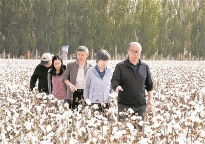 李召虎團(tuán)隊成員在棉田了解試驗情況。 受訪單位供圖