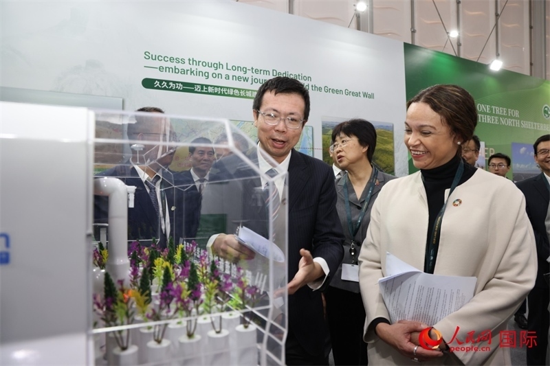 嘉賓參觀中國(guó)館。人民網(wǎng)記者任皓宇攝