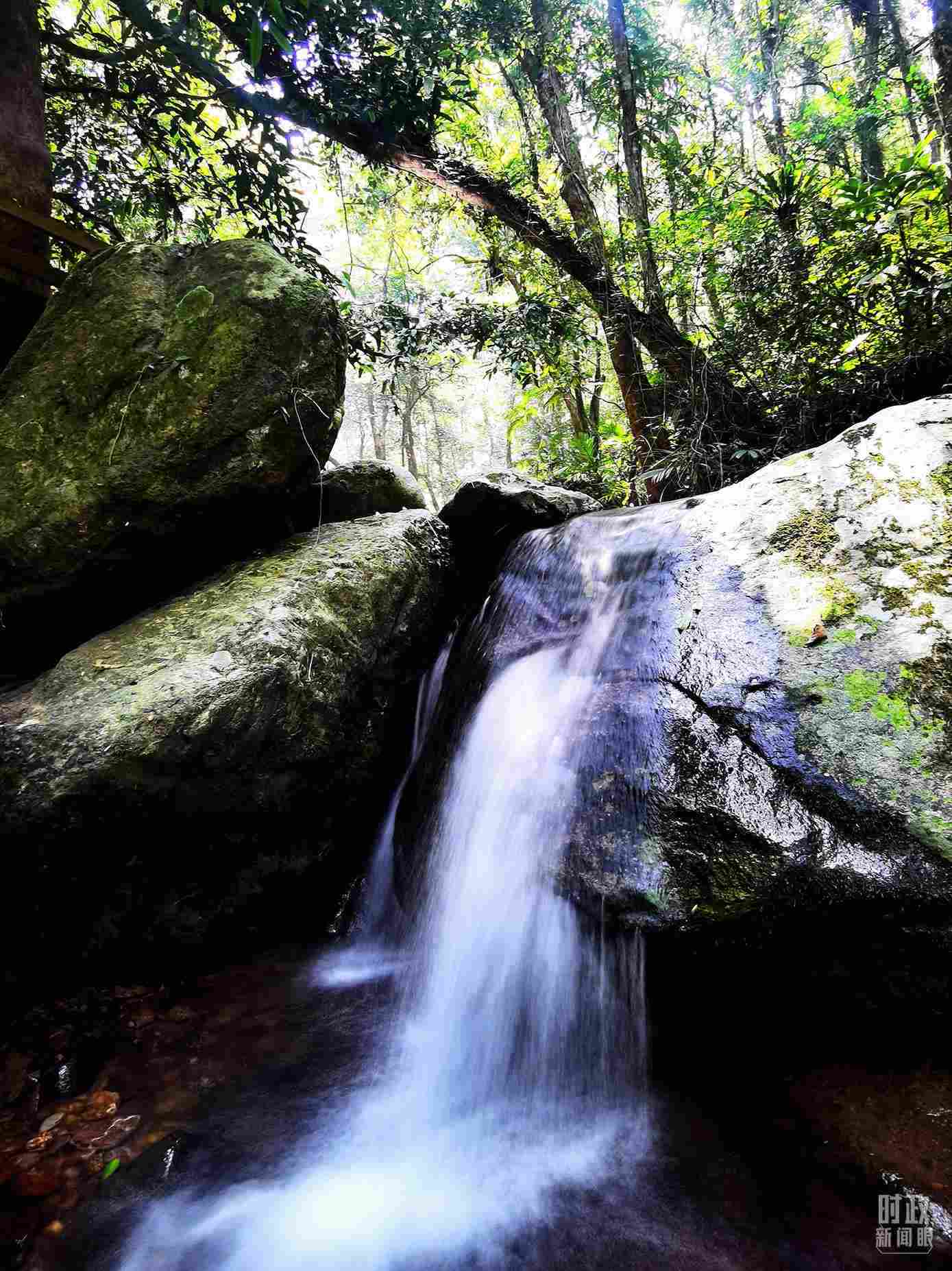 海南五指山。（總臺央視記者劉琦拍攝）