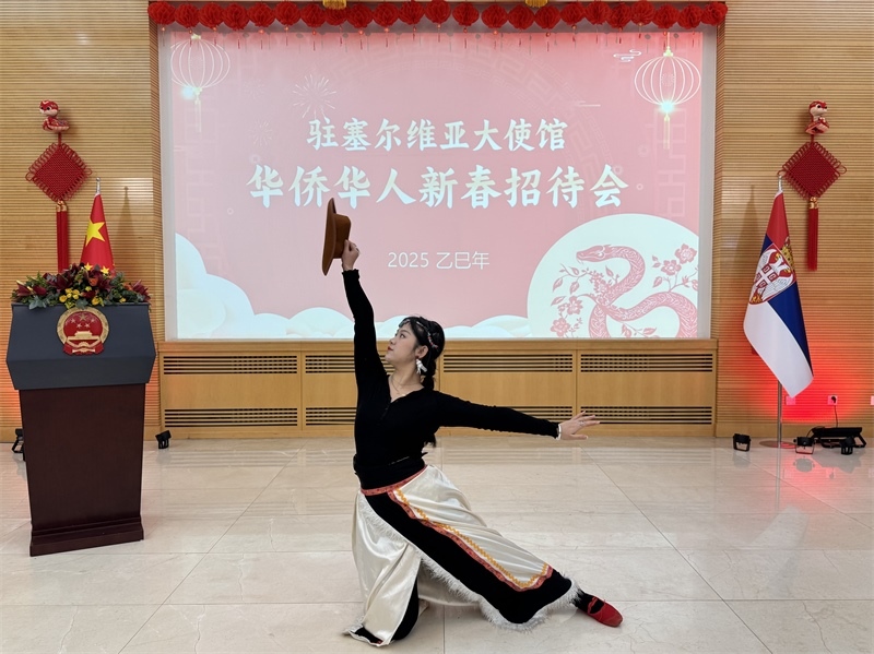 招待會現(xiàn)場表演。諾維薩德孔子學院供圖