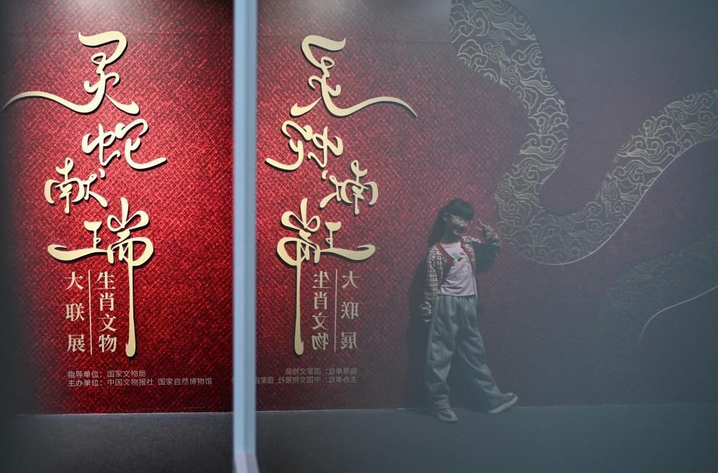 1月18日，一名小朋友在國(guó)家自然博物館舉辦的“靈蛇獻(xiàn)瑞——2025乙巳蛇年生肖文物大聯(lián)展”展覽中拍照留念。（新華社記者 陳鐘昊 攝）