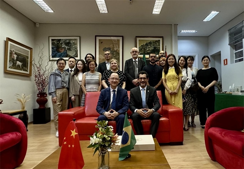 圖為參加座談會(huì)的來賓合影留念。 圣保羅州立大學(xué)孔子學(xué)院供圖