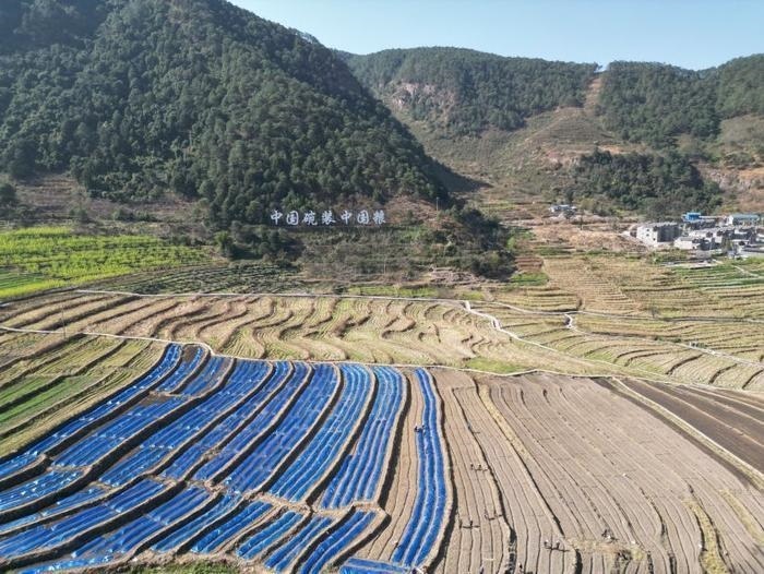 △近日，四川涼山一現(xiàn)代農(nóng)業(yè)園春耕育秧搶農(nóng)時(shí)。