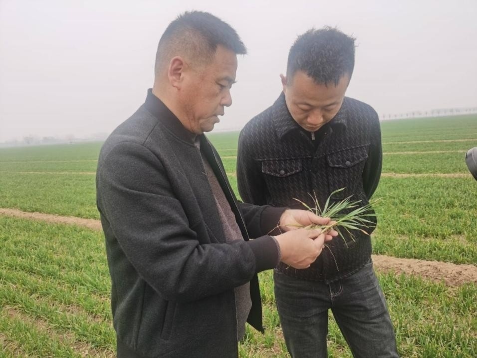 在山東濟寧汶上縣苑莊鎮(zhèn)，農(nóng)技員黃海龍對種糧大戶王振現(xiàn)場進行春耕指導。人民網(wǎng)記者 車柯蒙攝