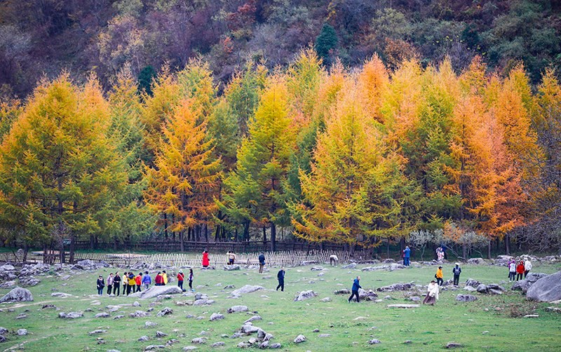 2023年10月27日，深秋時(shí)節(jié)的陜西秦嶺太子嶺五彩斑斕，進(jìn)入最佳觀賞期。