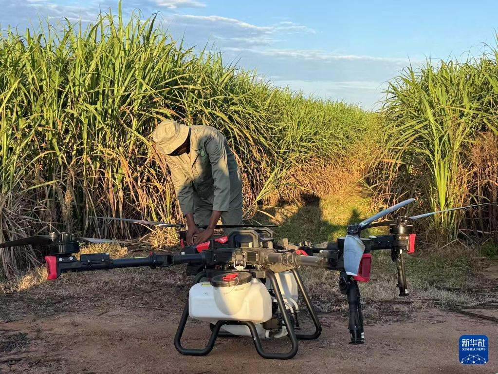 3月25日，在南非夸祖魯-納塔爾省的方廷希爾莊園，工作人員為無人機做起飛作業(yè)前的準備。新華社記者 白舸 攝