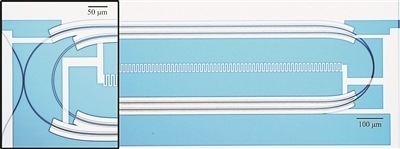 微波光量子傳感器的光學(xué)顯微照片。圖片來(lái)源：美國(guó)哈佛大學(xué)