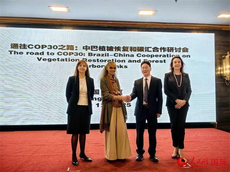 中國(guó)國(guó)家林業(yè)和草原局副局長(zhǎng)李云卿（右二）、巴西環(huán)境和氣候變化部部長(zhǎng)瑪麗娜·席爾瓦（左二）、巴西財(cái)政部副部長(zhǎng)羅熙丹（右一）、巴西駐華大使館公參樂(lè)美（左一）出席“通往COP30之路：中巴植樹(shù)造林和碳匯合作研討活動(dòng)”。人民網(wǎng)記者 符園園攝